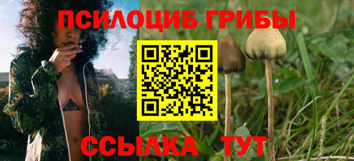Псилоцибиновые грибы MAGIC MUSHROOMS  Вход с VPN  Псилоцибиновые грибы Psilocybine cubensis  Вязьма 