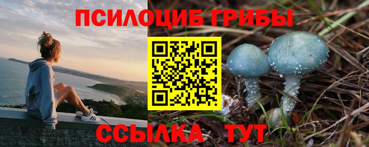 Галлюциногенные грибы прущие грибы Вязьма